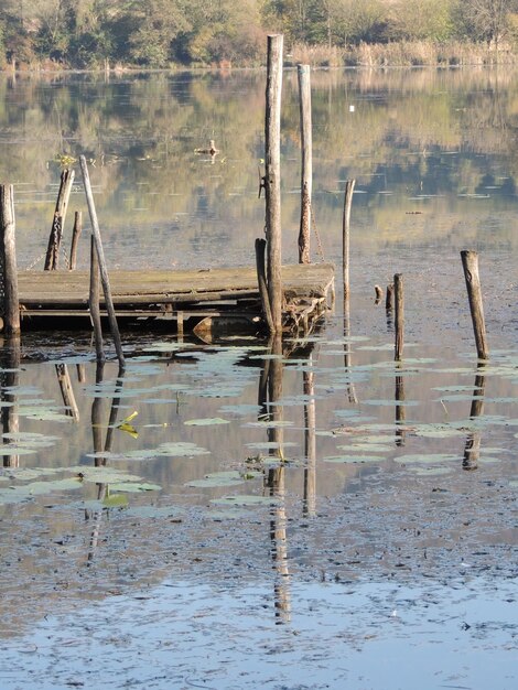 wooden posts in lake