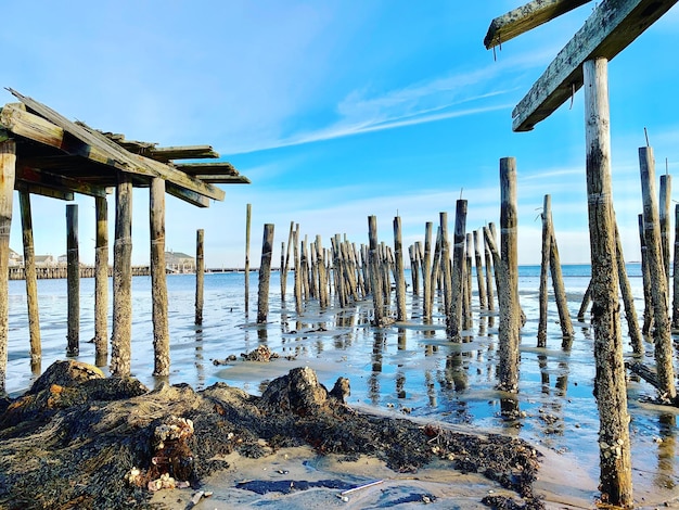 Фото Деревянные столбы на пляже против неба зимой
