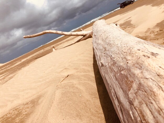 Wooden posts on sand at beach against sky