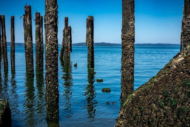 Wooden posts in sea against clear blue sky