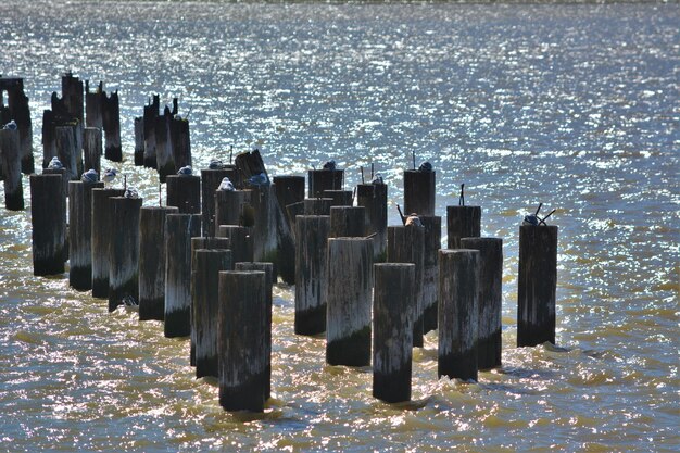 Foto postelli di legno in mare