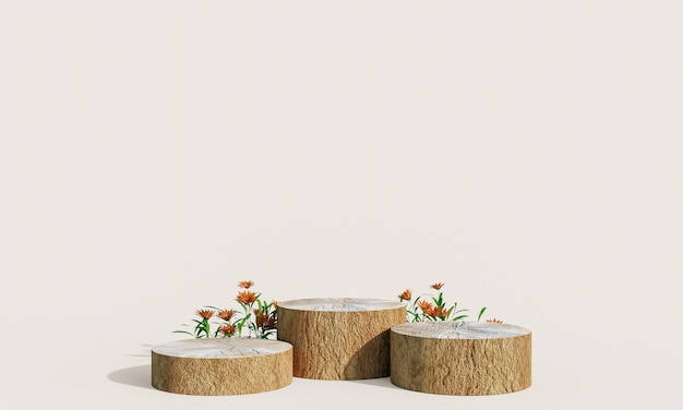 wooden product display podium with nature leaves on pastel background. 3d rendering