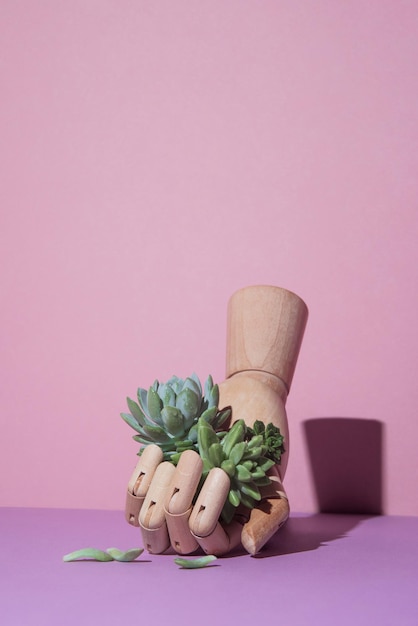 Фото Деревянная кукольная рука с суккулентами в пальцах на розовом и фиолетовом