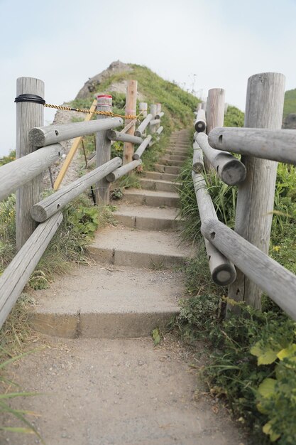 사진 하늘을 향한 나무 레일링