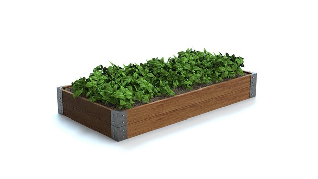 Photo wooden raised garden beds. 3d rendering