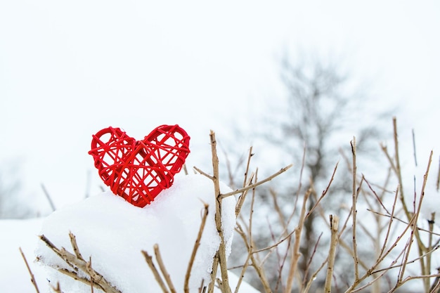 Wooden red heart on background of snow-covered tree branches. Eco-friendly valentines day. Handmade gift. Symbol of caring for nature.