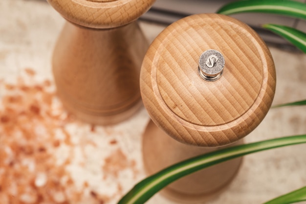 Photo wooden salt and pepper with himalayan salt , with pepper spread around green plant in the kitchen