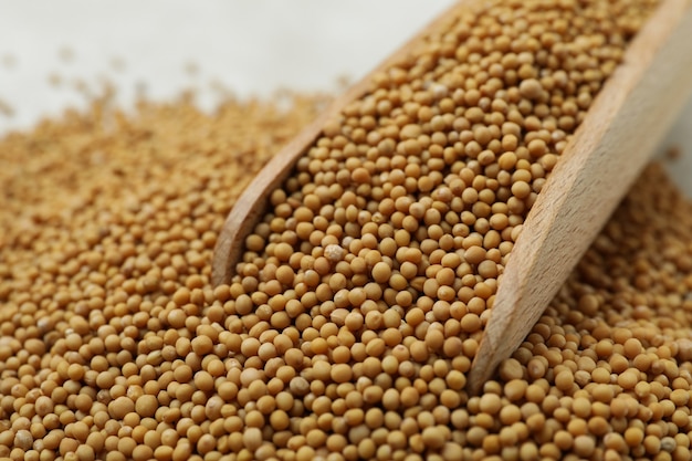 Wooden scoop with mustard seeds, close up