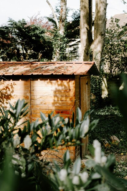 Foto cottage in legno nel giardino