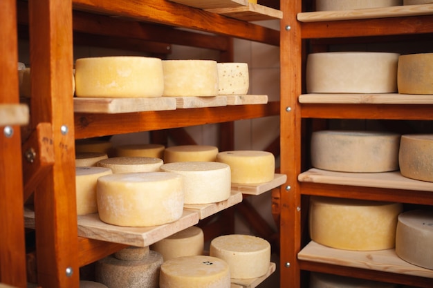 wooden shelves in basement cellar with round cheese home production from milk private entrepreneur business indoor