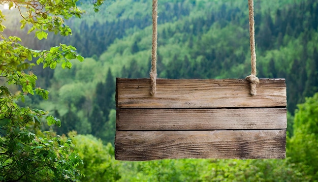 Photo wooden sign vintage direction board hanging by ropes green blurred forest on background