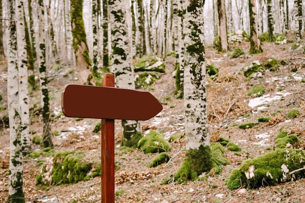 Photo wooden sign with an empty field stands in the middle of the forest on a hill close up