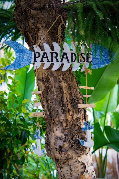 Wooden sign with the word paradise hanging on the trunk of a tree.