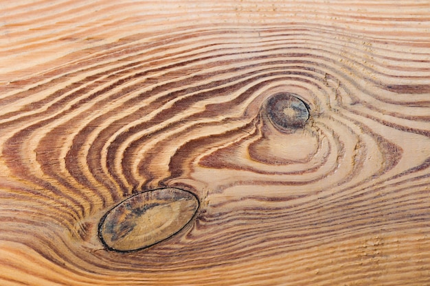 美しい湾曲した静脈と年齢のリングを持つ木製のスライス。美しい木のパターン。