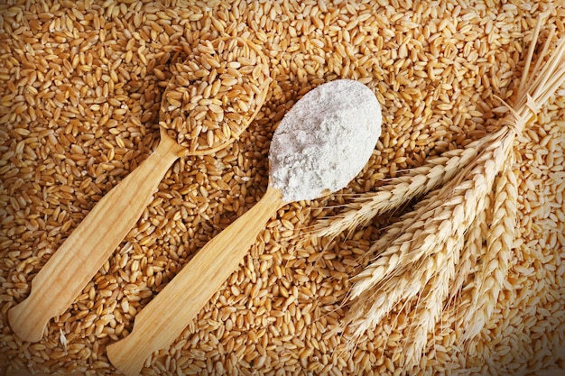 Wooden spoon on wheat grains background