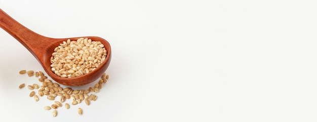 Wooden spoon with barley porridge on a white background panorama