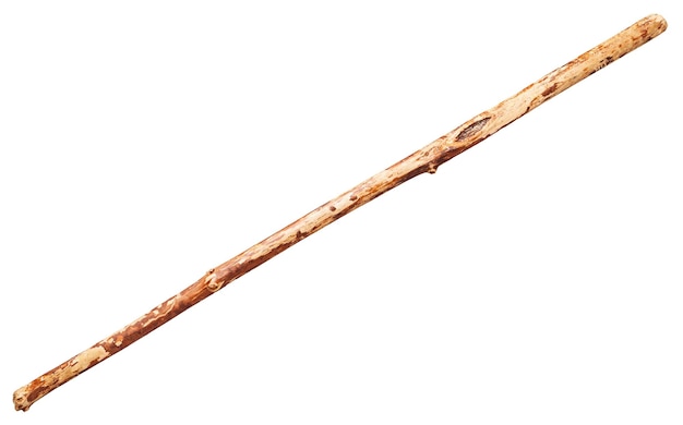 Wooden staff from tree trunk isolated