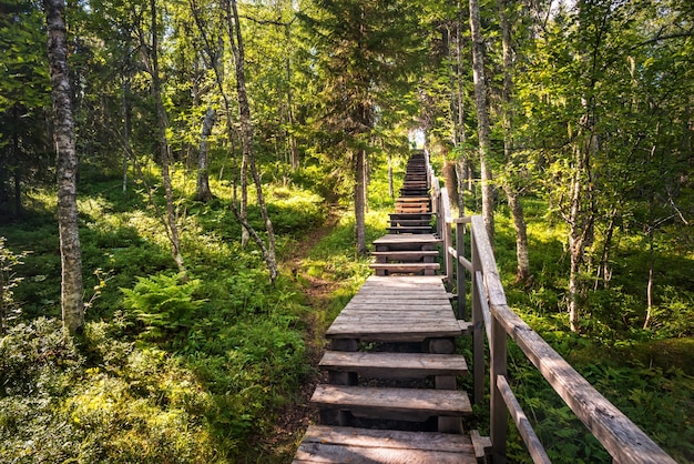 Wooden staircase to the Eleazarovaya Desert hill on Anzer Island Solovetsky Islands