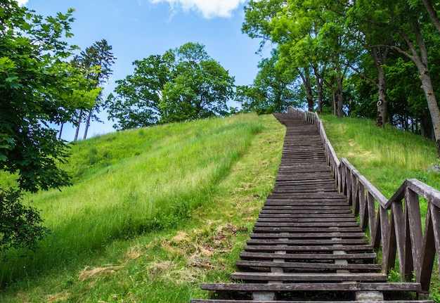 Wooden Staircase in the Forest Leading to the Hill.