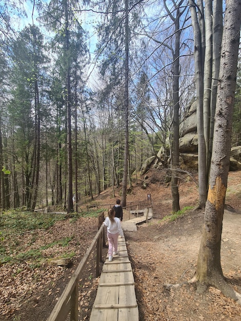 A wooden staircase leads to a forest with trees in the background.