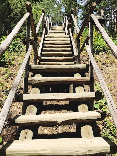 Foto scala di legno nel parco