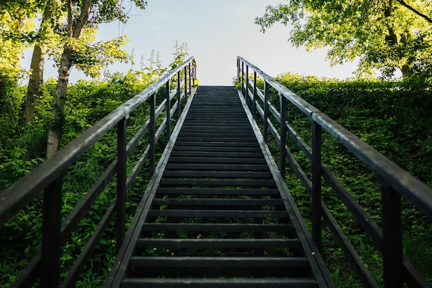 wooden staircase in the woods