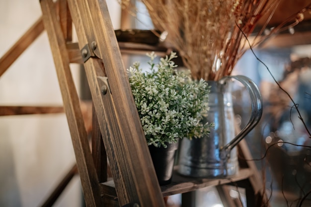 Wooden stairs decorated with plant pots and decorative items