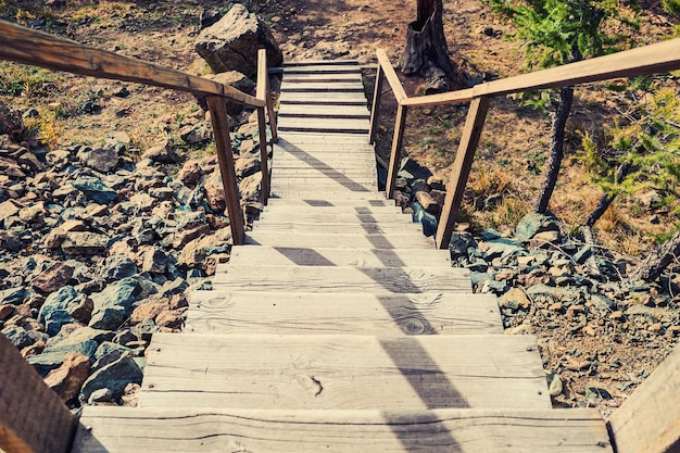 Wooden stairs on the hill leading down. Summer landscape