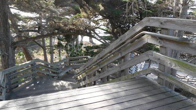 Wooden stairs to Lone Cypress 17mile drive Monterey California Pine trees