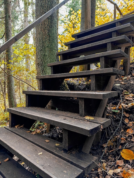 자연 속 의 나무 계단 나무 계단 야외