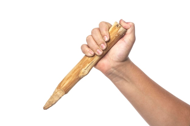 Wooden stake in hand on a white background