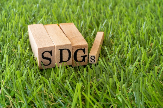 芝生の上のコンセプトの SDGs テキスト付きの木製スタンプ。