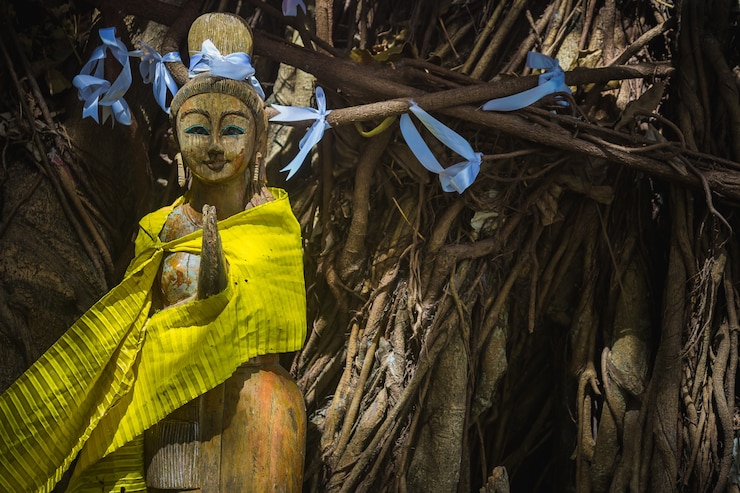 फोटो wooden statue of praying or meditation spirit of trees girl tree with ribbons thai greeting wai