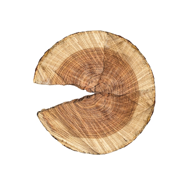 Wooden stump Isolated on white background. With clipping path