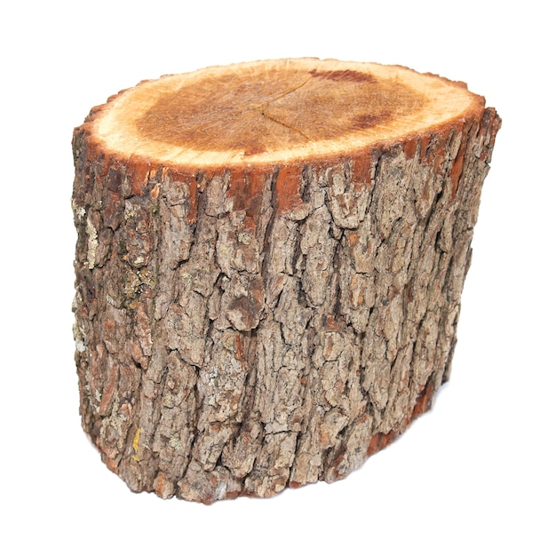 Wooden stump isolated on the white background.