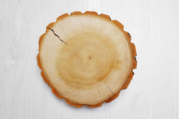 Wooden stump on the white background. Round cut down tree with annual rings as a wood texture