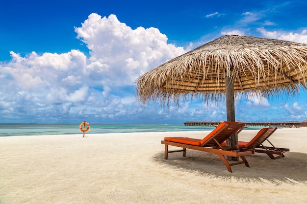 Wooden sunbed and umbrella on tropical beach in the Maldives