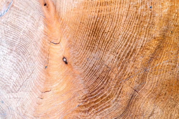 Wooden surface background texture