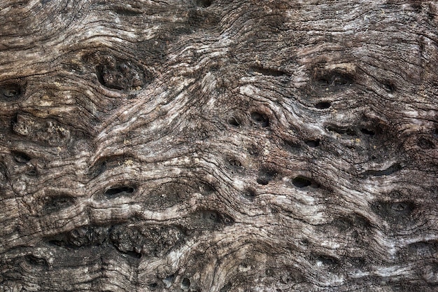 Photo a wooden surface