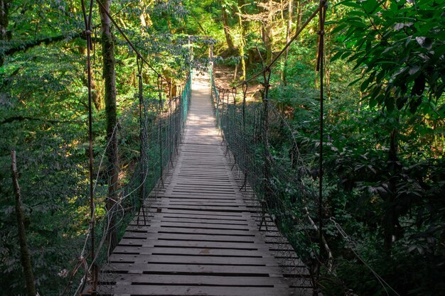 Wooden suspension bridge in the forest, jungle.