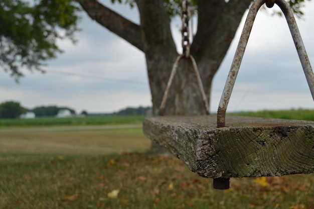 Foto oscillazione in legno sul campo contro l'albero