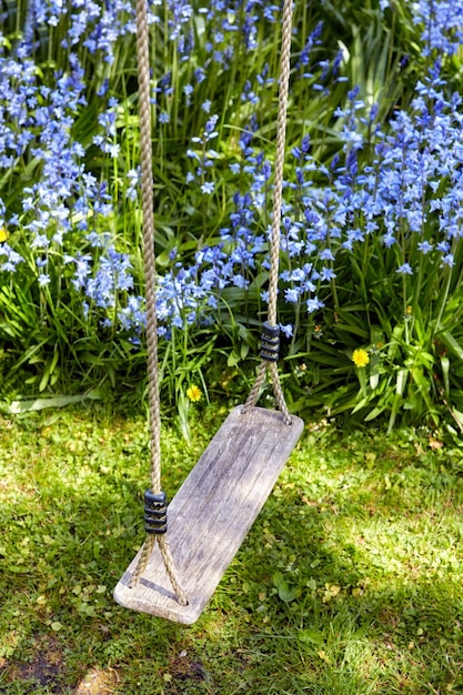 Деревянные качели, висящие в саду с пышными цветами колокольчика в солнечный день Мирный задний двор гармонии в природе - идеальное место, чтобы посидеть и расслабиться, наслаждаясь видом на свежие голубые полевые цветы