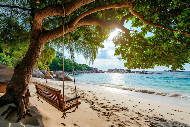 Wooden swing on a tree on a tropical beach