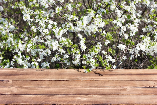 Wooden table against a blossoming tree. Place under the inscription