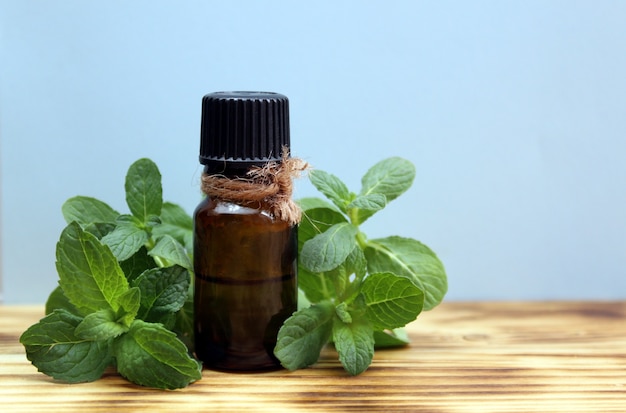 On a wooden table, a bottle of oil and a sprig of mint. Healthy and aromatic fresh green herb.