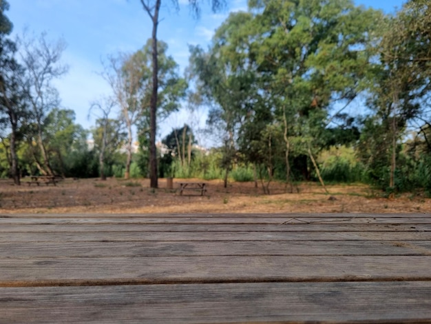 Foto tavolo di legno in primo piano in un parco pubblico