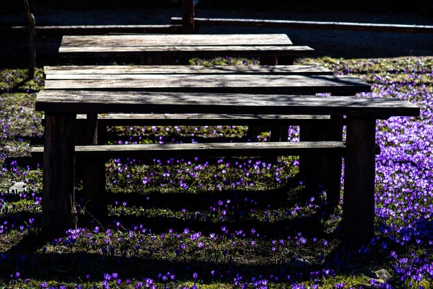 A wooden table is surrounded by purple flowers and has a purple flower in the middle.