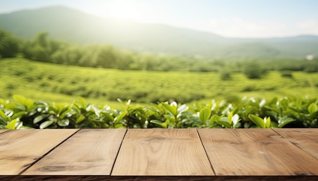Wooden table top on green tea plantation background For product display