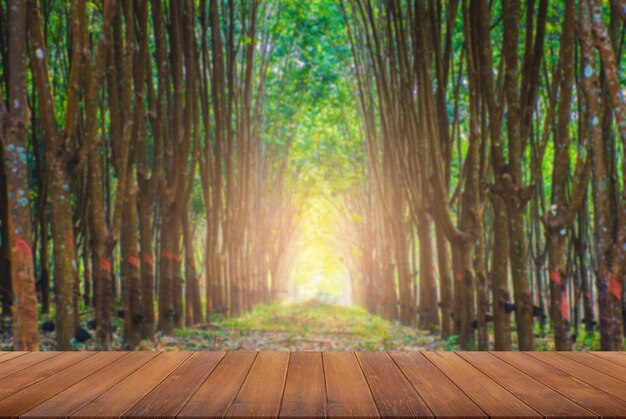 Фото Деревянная столешница на фоне каучуковой плантации светит солнечный свет