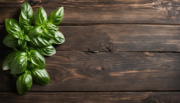 A wooden table with a green plant on it